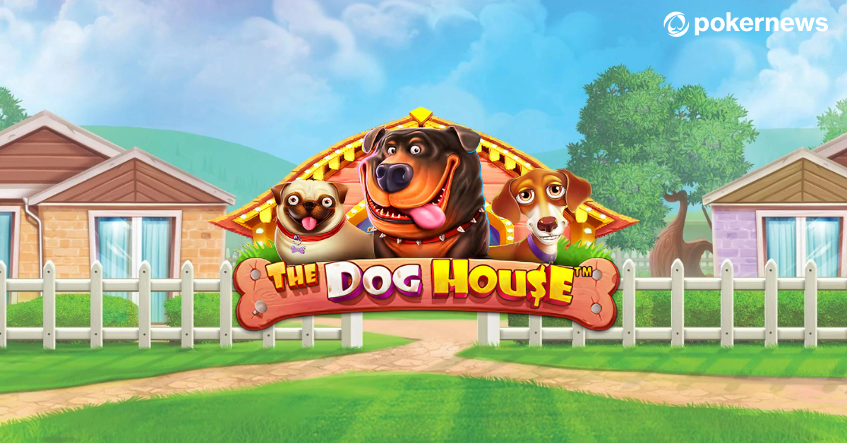 Слот The Dog House от Pragmatic Play в Волна Казино